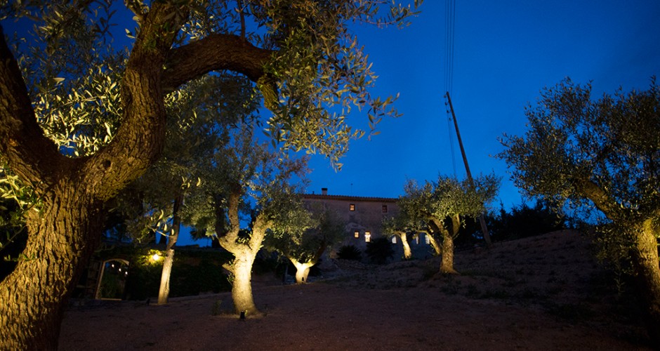 jardi oliveres